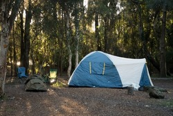 Blue tent, swag and camping chairs at the campsite in the forest bush. Camping lifestyle