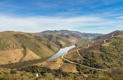 Landscape of the Douro river meandering through mountains, with the terraces of the port wine vineyards, near the mouth of the river Coa, in Vila Nova de Foz Coa, Portugal.