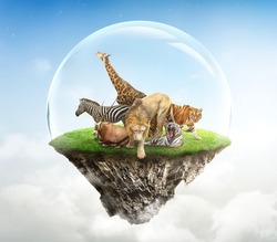 Concept Nature reserve conserve Wildlife reserve tiger Giraffe Global warming Ecology, fantasy island with wild animals floating in the sky. protecting the wild and wild animals tigers, lion on island