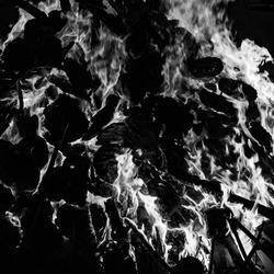Fire flames on black background, Blaze fire flame texture background, Beautifully, the fire is burning, Fire flames with wood and cow dung bonfire Black and White