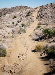 A trail winding through the joshua tree desert on the lost horse mine trail. Scrub, brush and sand in the foreground and mountains rise in the background. A forbidding landscape.