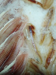 Fresh frozen fish for sale in a supermarket