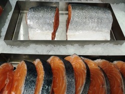 Fresh frozen fish on the supermarket shelves