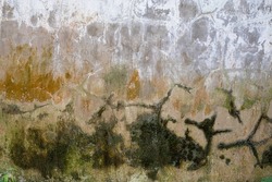 Old concrete wall in Bali, Indonesia with abstract design from mold and cracks