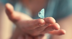 Butterfly sits on a woman hand. Blue, fragile butterfly wings on woman fingers create harmony of nature, beauty magic close-up. Macro.