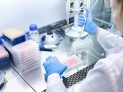 A laboratory technician performing biological activity evaluation of a new anticancer drug using elaborated laboratory equipment. The experiment is carried out in a sterile environment.