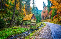 Autumn forest cabin house in Carpathian woods fall