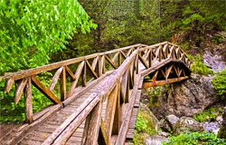 Wooden bridge in mountain forest path trail landscape