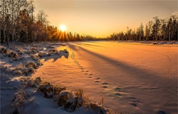 Winter forest at sunset sunlight