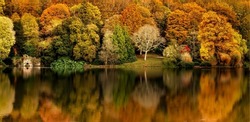 Autumn forest river reflection in nature panorama. Forest river in autumn nature