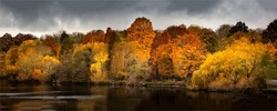 Beautiful autumn panoramic landscape in the forest. Autumn forest trees panorama. Autumn forest panoramic landscape. Autumn panorama