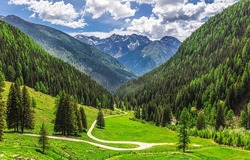 A winding path on a mountain slope. Forest in mountains. Mountain green hills landscape. Mountain forest landscape