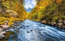 River in the autumn forest. Autumn forest river view. River flowing in autumn forest. Forest river in autumn