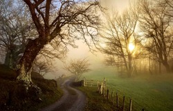 Fog on a rural road at dawn. Morning fog at rural dawn. Early morning in fog. Rural road in morning fog at dawn