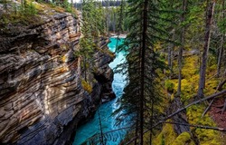 River canyon in the mountain forest. Deep forest river canyon landscape. River canyon view. River canyon in forest