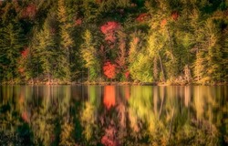 The autumn foliage of the forest is reflected in lake water. Autumn reflections. Autumn forest reflection in water. Beautiful autumn reflection in water