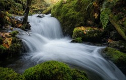 Waterfall stream in the forest. Cold creek waterfall. Waterfall stream flow. Rapid waterfall stream in mossy forest