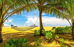 Hammock on beach. Hammock on palm beach. Hammock between palm trees on a sandy tropical beach. Hammock on tropical beach