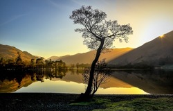 A lonely tree by the lake at dawn. Lake shoreline background reflection. Mountain lake at dawn. Beautiful sunrise over lake reflection