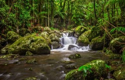 Waterfall stream in mossy forest. Forest waterfall stream. Waterfall stream flowing on mossy stones. Rainforest waterfall stream