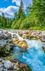 Fast river flow in the forest. RIver rapids in mountain forest. Forest river rapids. River stream in forest