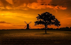 Silhouettes of a tree and a mill at sunset in a field. Windmill farm field at sunset. Sunset windmill farm. Beautiful sunset landscape