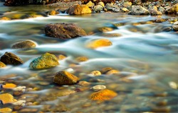 River stream of water flowing on rocks