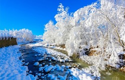Snowy river in winter landscape. Forest river in winter snow scene. River in winter snow forest. Winter snow scene