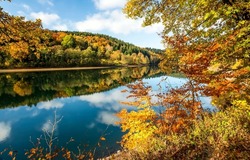 River in the autumn forest. Autumn forest river landscape. Autumn river reflection. Forest river in autumn