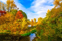 Autumn forest pond landscape view