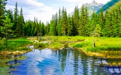 Mountain forest pond nature scenery