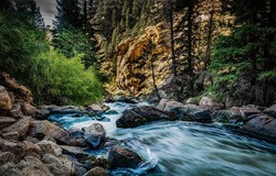 Wild river in a mountain forest. River flow. Mountain forest river. River stream flowing