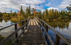 Wooden bridge over the autumn river. River bridge in autumn forest. Autumn forest wooden bridge. Bridge over autumn river