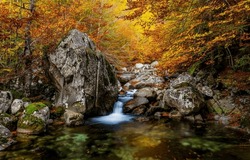 Forest stream in the autumn forest. Autumn forest stream. Forest river stream in autumn. Autumn stream in forest