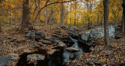 River in the autumn forest. Autumn forest river. Forest river in autumn. Autumn forest river panorama