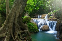 Landscape of pure tropical waterfall on rainy morning, a big tree and lush green plants growing by the waterfall. Kanchanaburi, Thailand. Long exposure.