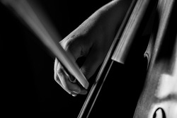 Close up macro photograph of a young cellist practicing	
