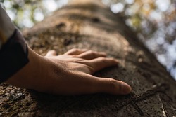Human beings are concerned about nature and the environment- Hand touching a tree trunk in the forest.