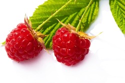 Raspberries. Wild red raspberries produce small, tart red berries. They are delicious fresh but also add flavor to jams or desserts.