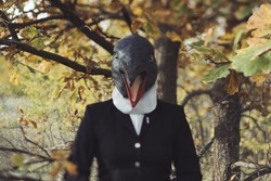 Weird and creepy woman in a rubber bird (penguin) mask standing in the autumn forest in a weird and creepy pose, wearing equestrian uniform
