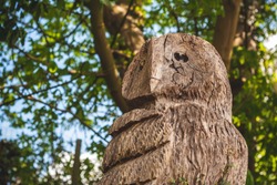 A brown detailed wooden owl carving, in a green woodland with out of focus trees sky and sunlight. photographed close up and shot from below. Owl looking into the distance.