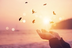 Woman hands place together like praying in front of nature blur beach and birds fly with sunset sky freedom concept background.
