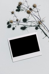 Mockup with blank photo frame and dried eryngium flower over pastel blue background with trendy shadow and sunlight. Photo card with space for your logo or text. Flat lay, top view