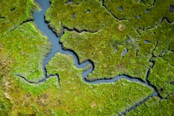 Aerial view of lush coastal wetlands in UK