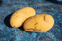 The very sweet Carabao mango, also known as the Philippine mango or Manila mango.