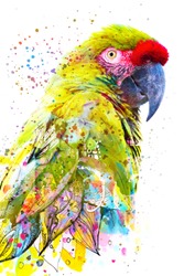 Paintography. Double exposure close up portrait of a stunning tropical parrot blending into vibrant painting on white background
