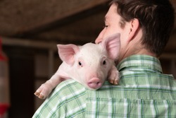 man, pig, young farmer carries cute piglet