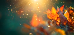 Autumn colorful bright Leaves swinging in a tree in autumnal Park. Autumn colorful background, fall backdrop. Backlit, sun flare