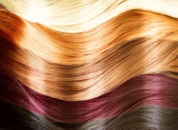 Hair Colors Palette. Hair Texture