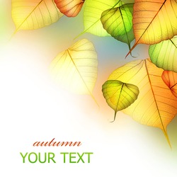 Autumn Leaves.Beautiful Abstract Fall Border